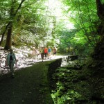 WanderungStuttgart01