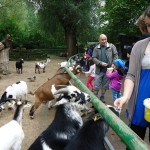 tierischgut01