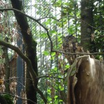 tierischgut03