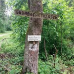 Bild5